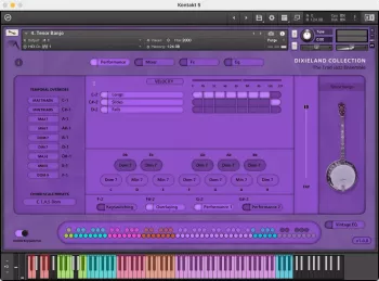 Insanity Samples DIXIELAND COLLECTION v1.0.0 KONTAKT screenshot