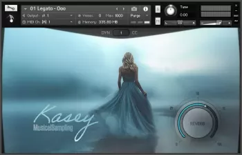 Musical Sampling Kasey KONTAKT screenshot