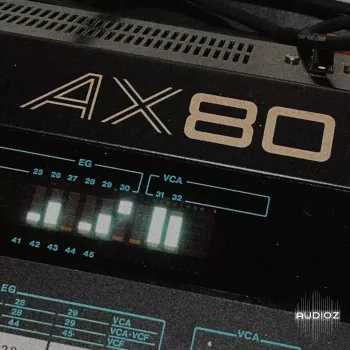 Looma Akai Ax80 Oneshot Sample Pack WAV-FANTASTiC screenshot