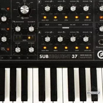 Looma Moog Sub37 Oneshot Sample Pack WAV-FANTASTiC screenshot