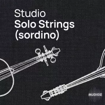 VSL Vienna Symphonic Library Studio Solo Strings (Sordino) for Synchron Player screenshot
